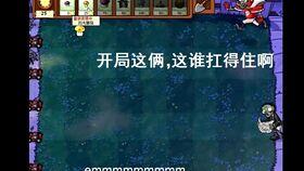 娱乐吃瓜酱植物大战僵尸,吃瓜酱带你领略欢乐农场保卫战